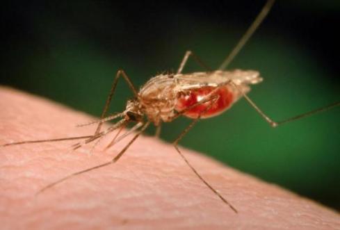 Exame de sangue pode detectar cancer