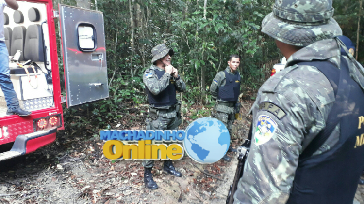 LogoLicious_20180129_230745-800x450