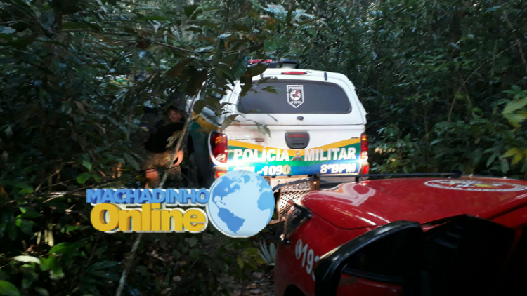 LogoLicious_20180129_230803-800x450