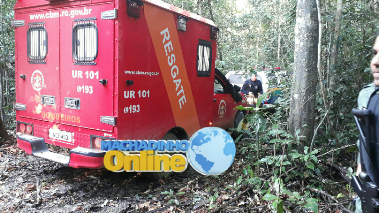 LogoLicious_20180129_230820-800x450